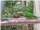Worongary QLD 4213