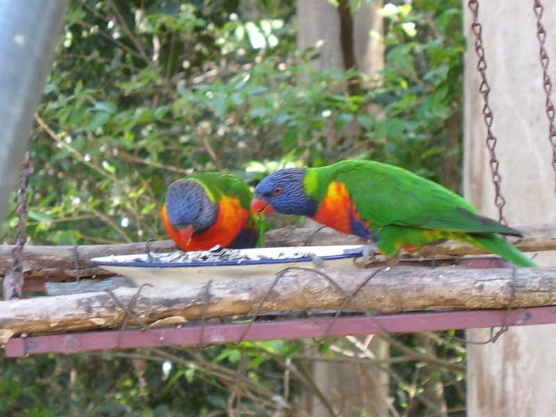 Worongary QLD 4213