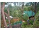Nerang QLD 4211