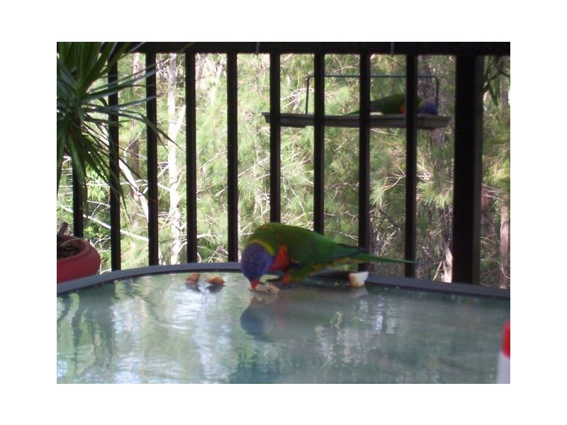 19 Raffles Court, Mudgeeraba QLD 4213