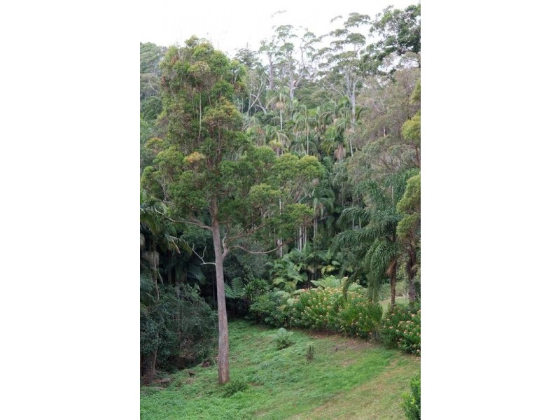 194 Freemans Road, Lower Beechmont QLD 4211