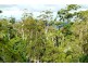 194 Freemans Road, Lower Beechmont QLD 4211