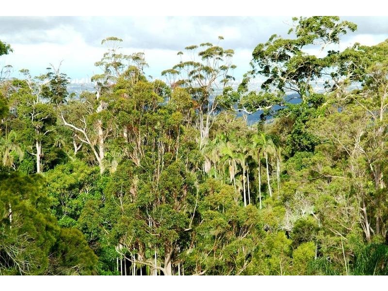 194 Freemans Road, Lower Beechmont QLD 4211