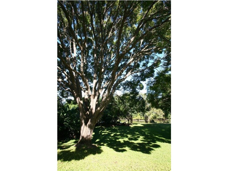 13 Nerang River Drive, Nerang QLD 4211