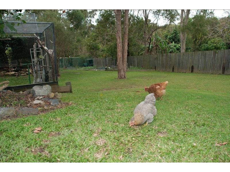 8 Edelweiss Way, Gaven QLD 4211