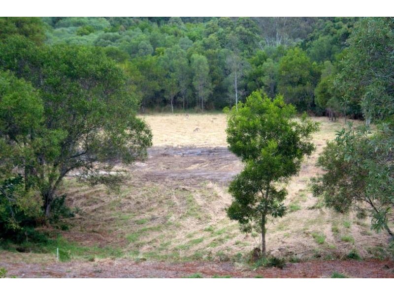 36 Silvereye Circuit, Gilston QLD 4211
