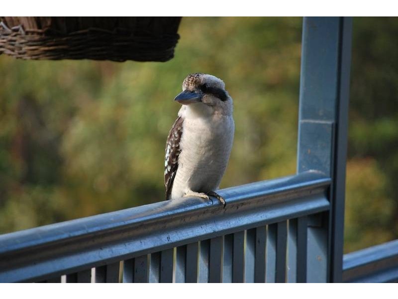 lot 3 Hellfire Pass, Lower Beechmont QLD 4211