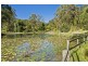 205 Brygon Creek Drive, Coomera QLD 4209