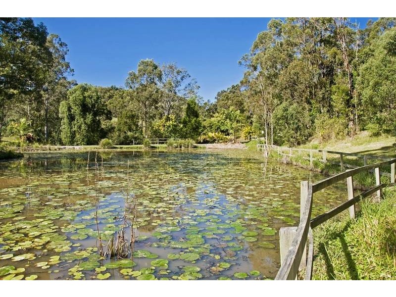 205 Brygon Creek Drive, Coomera QLD 4209