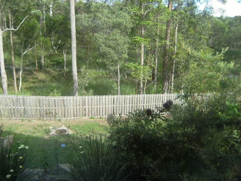 26 Silvereye Circuit, Gilston QLD 4211
