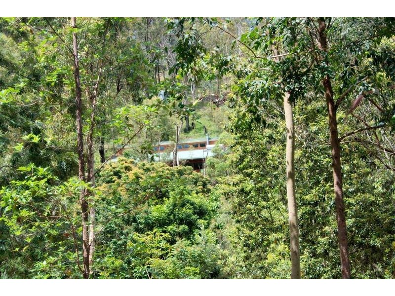 17-21 Maurita Court, Canungra QLD 4275