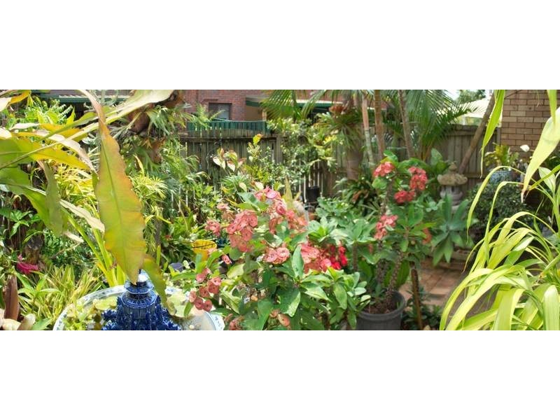 3/3 Martin Street, Nerang QLD 4211