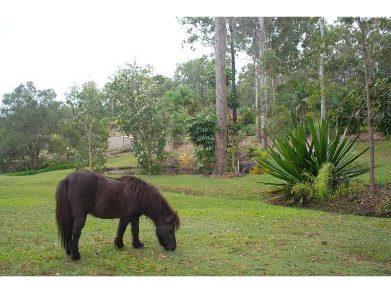 32 Dewberry Way, Gaven QLD 4211