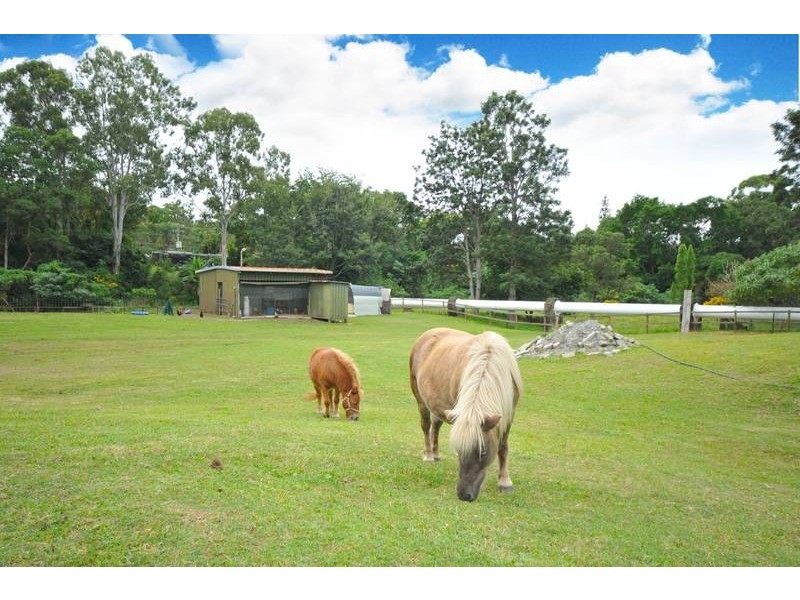 64 Worongary Road, Worongary QLD 4213