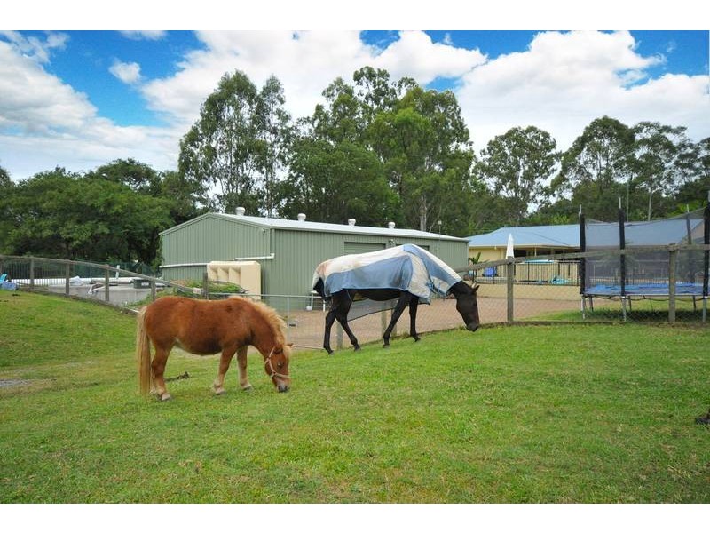 64 Worongary Road, Worongary QLD 4213