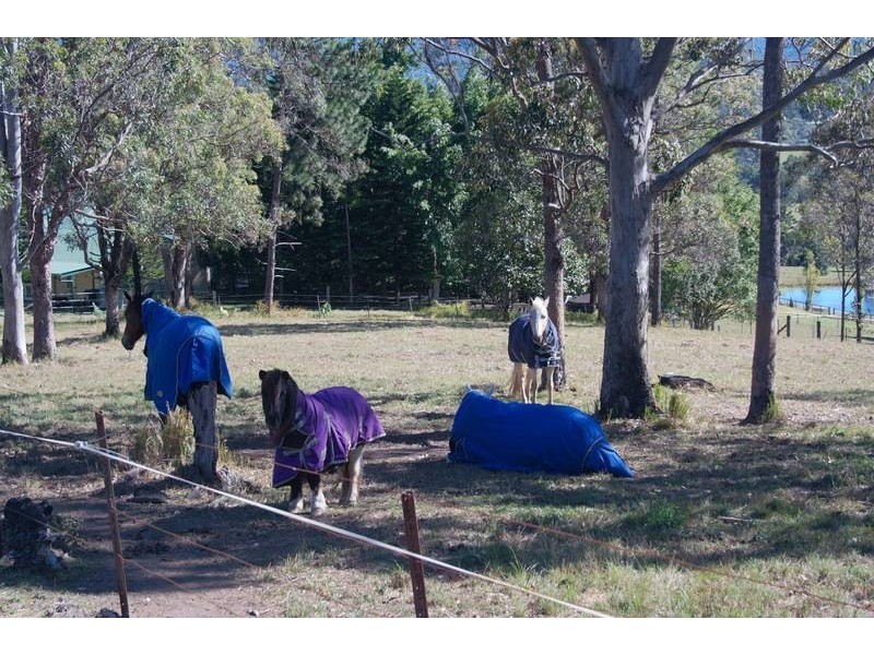 714a Maudsland Road, Mount Nathan QLD 4211