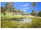17 Parkway Drive, Advancetown QLD 4211