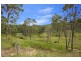 17 Parkway Drive, Advancetown QLD 4211