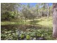 17 Parkway Drive, Advancetown QLD 4211