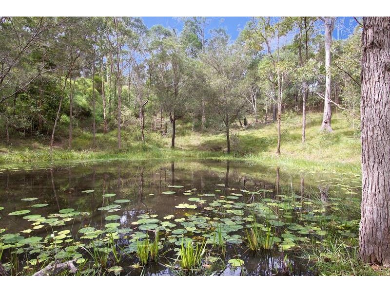 17 Parkway Drive, Advancetown QLD 4211