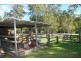 22 Lutana Street, Nerang QLD 4211