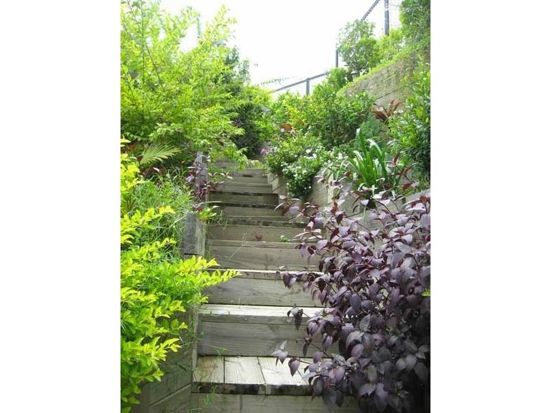 15 Jinker Way, Nerang QLD 4211