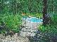 Canungra QLD 4275