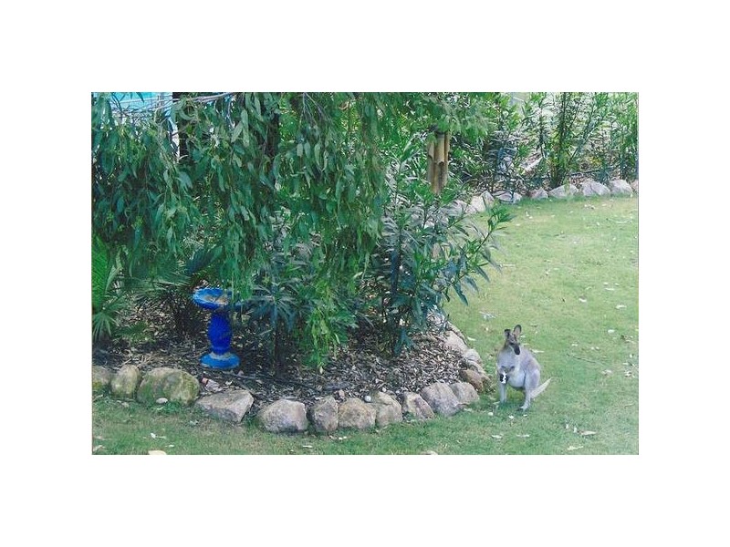 Canungra QLD 4275