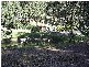 Canungra QLD 4275