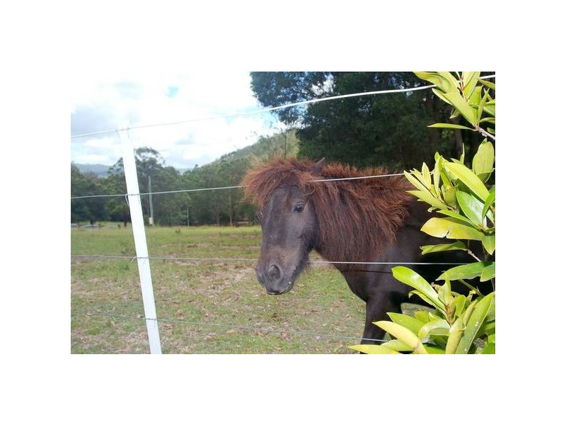 Clagiraba QLD 4211