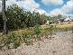 Gilston QLD 4211