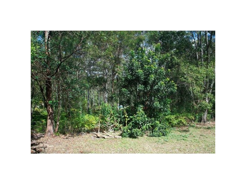 Lower Beechmont QLD 4211