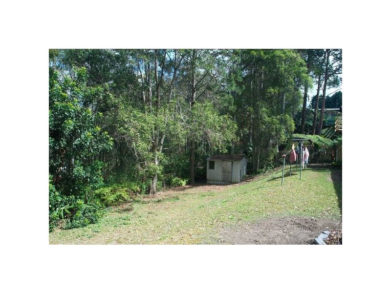Lower Beechmont QLD 4211