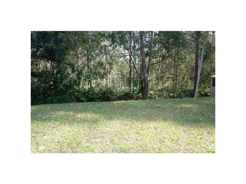 Lower Beechmont QLD 4211