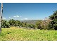 Lower Beechmont QLD 4211