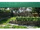 547 Ashmore Road, Ashmore QLD 4214