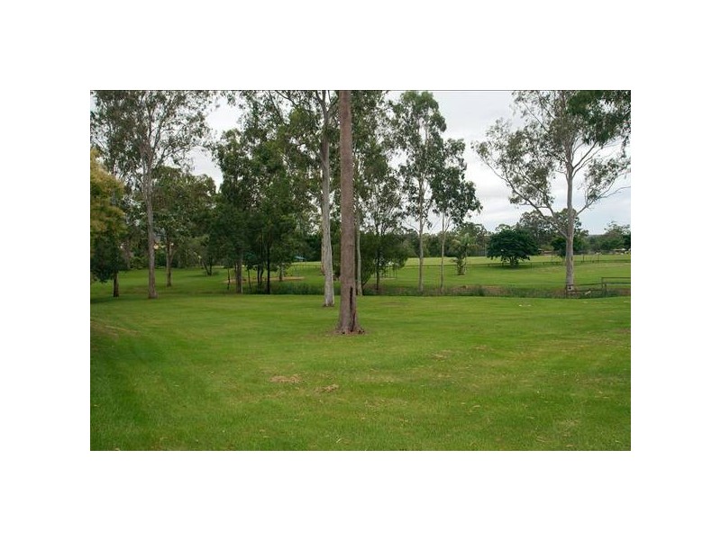 Nerang QLD 4211