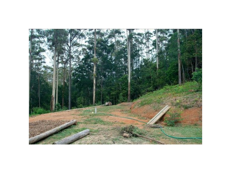 Lower Beechmont QLD 4211