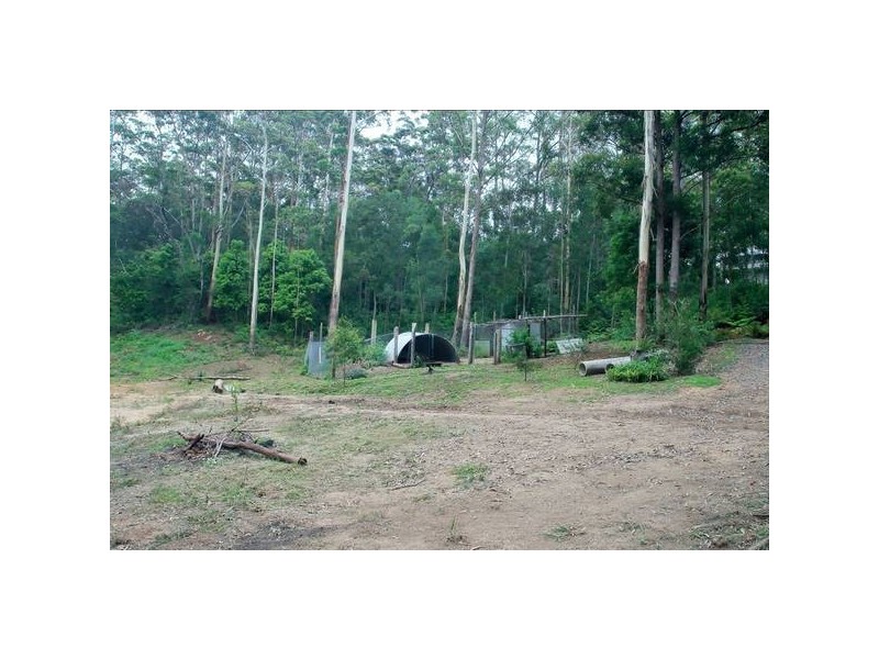 Lower Beechmont QLD 4211