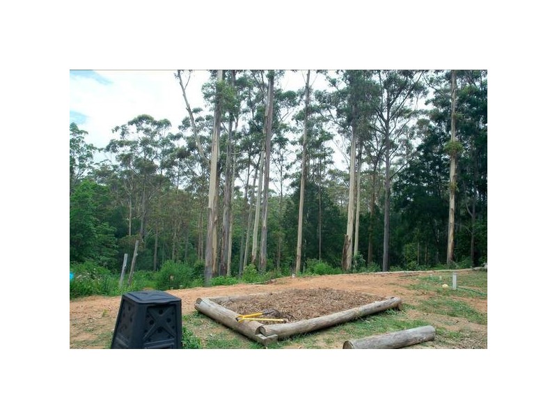 Lower Beechmont QLD 4211