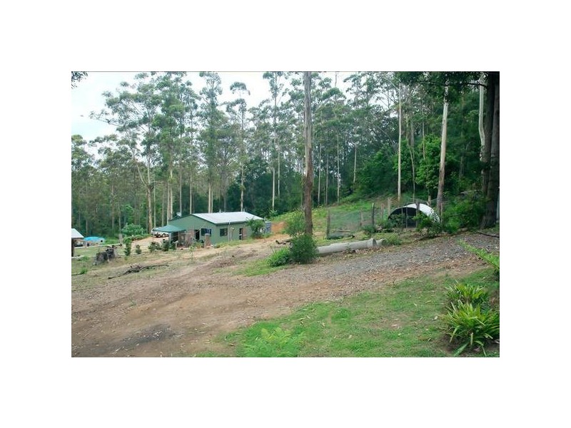 Lower Beechmont QLD 4211