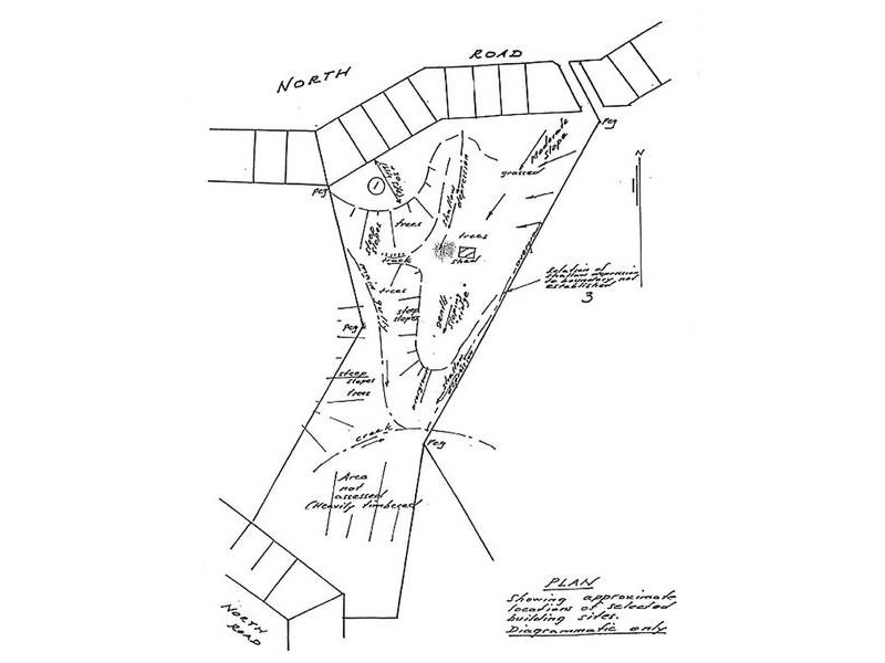 Lower Beechmont QLD 4211