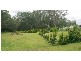Willow Vale QLD 4209
