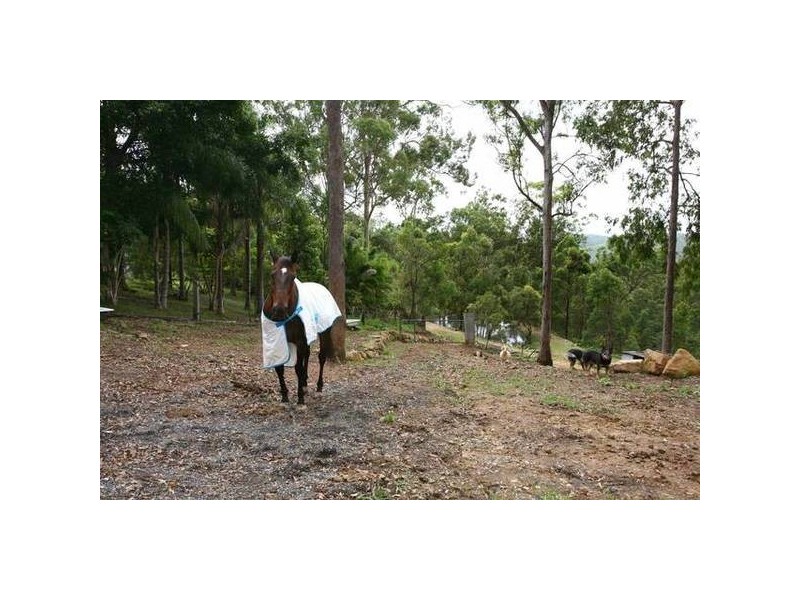 162 Henri Robert Drive, Clagiraba QLD 4211