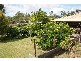 Nerang QLD 4211