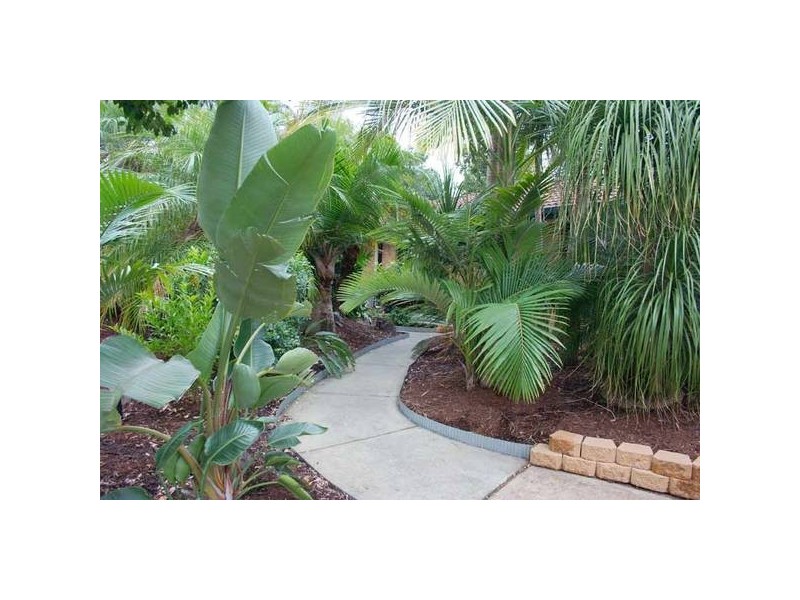 2 Burn Court, Nerang QLD 4211