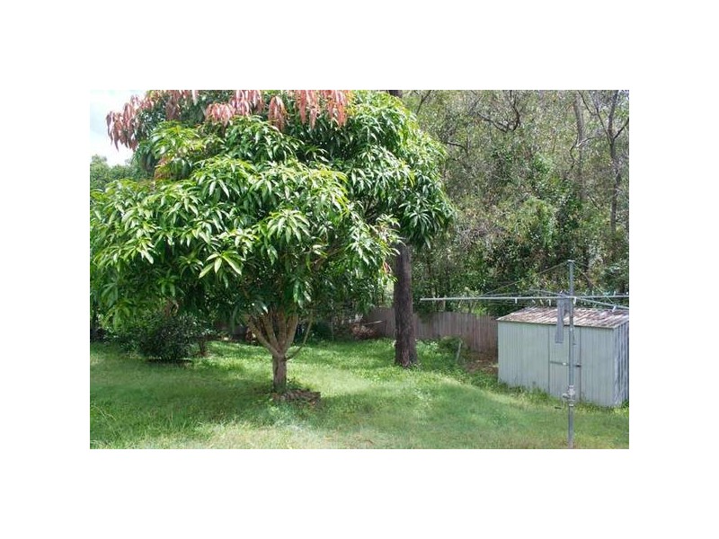 Nerang QLD 4211