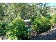 Mount Nathan QLD 4211