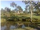 10 Ibrox Park Court, Nerang QLD 4211