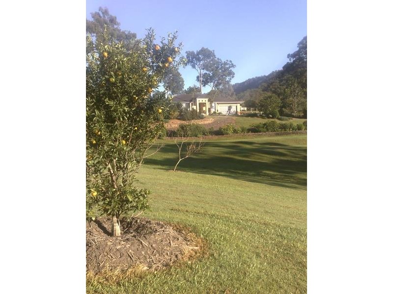 10 Ibrox Park Court, Nerang QLD 4211